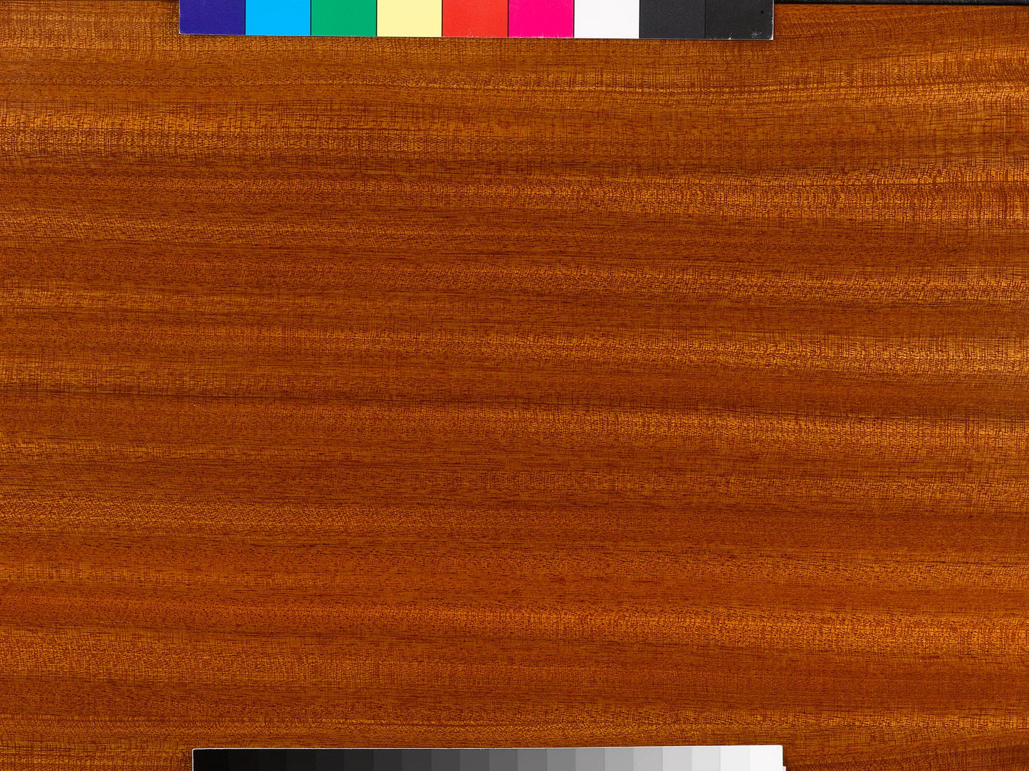 Opera Loudspeakers Prima - Pair